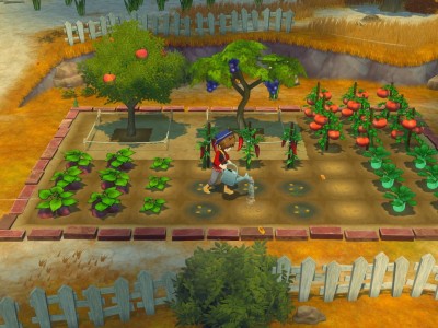 牧场物语 来吧！风之繁华集市/STORY OF SEASONS: Grand Bazaar