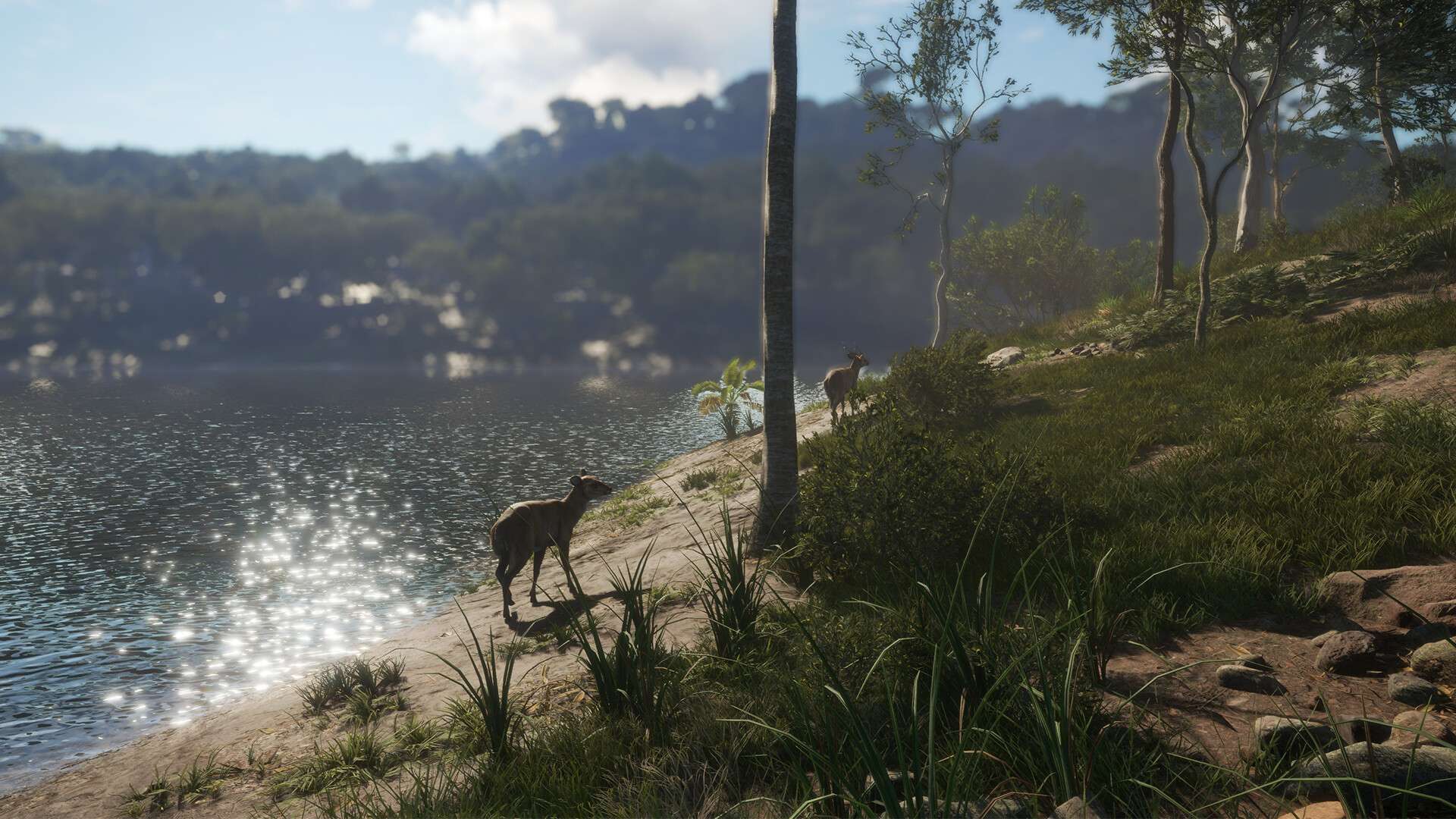 theHunter/猎人:荒野的召唤 v2023.06.20豪华中文版  第1张 theHunter/猎人:荒野的召唤 v2023.06.20豪华中文版  第1张
