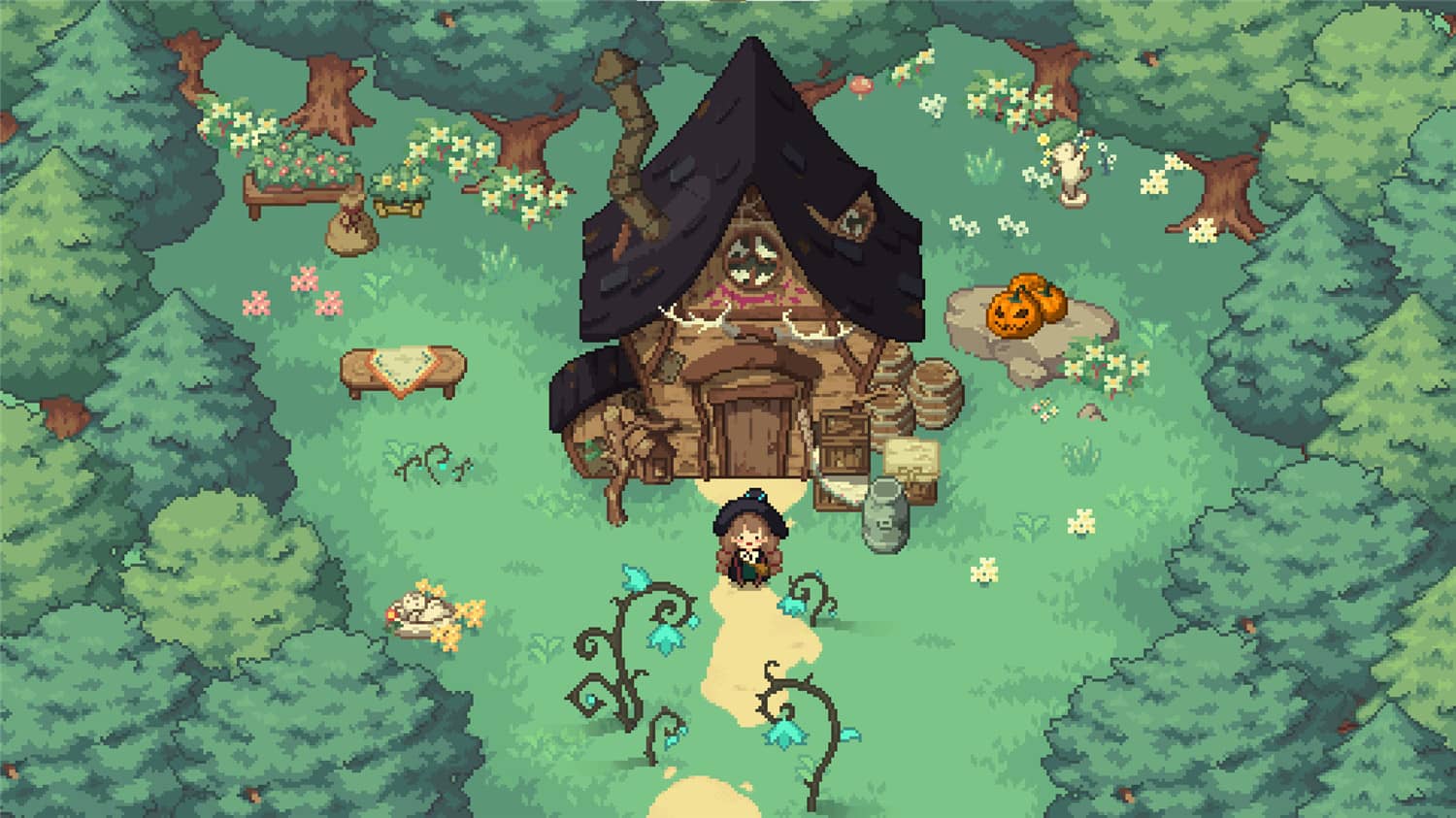 林中小女巫/Little Witch in the Woods  第1张 林中小女巫/Little Witch in the Woods  第1张