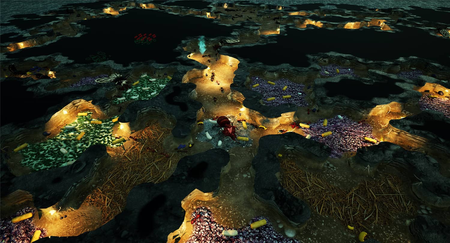 地下蚁国/Empires of the Undergrowth  第3张 地下蚁国/Empires of the Undergrowth  第3张