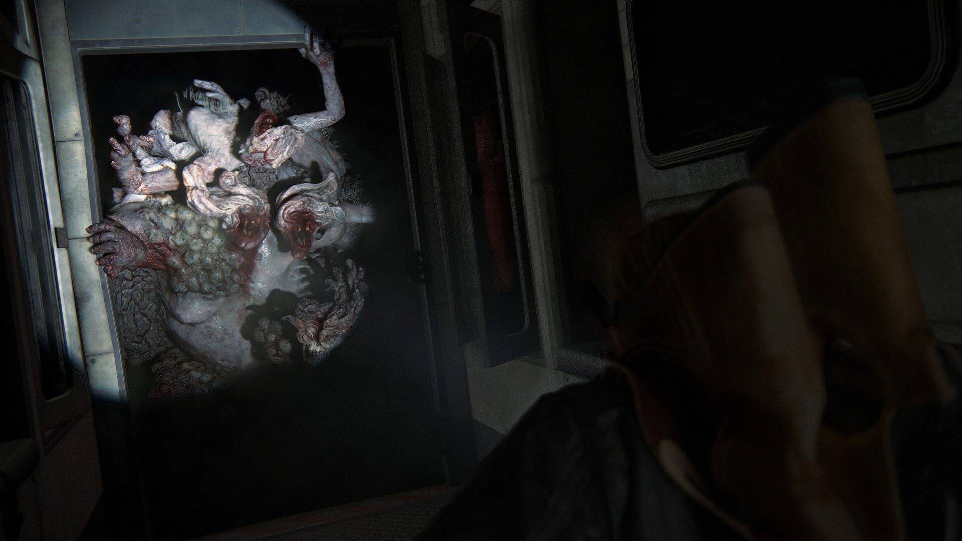 最后生还者2：重制版/美国末日2/The Last of Us Part II Remastered  第2张