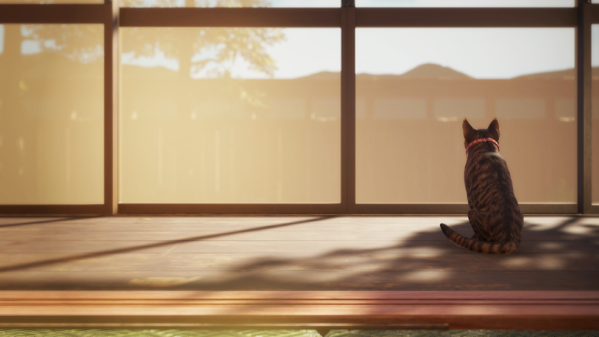 猫还在逃吗?/Still It Runs  第3张 猫还在逃吗?/Still It Runs  第3张